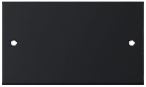 Selectric Matt black 2 Gang Blanking Plate