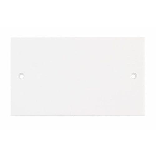 Selectric White 2 Gang Blanking Plate