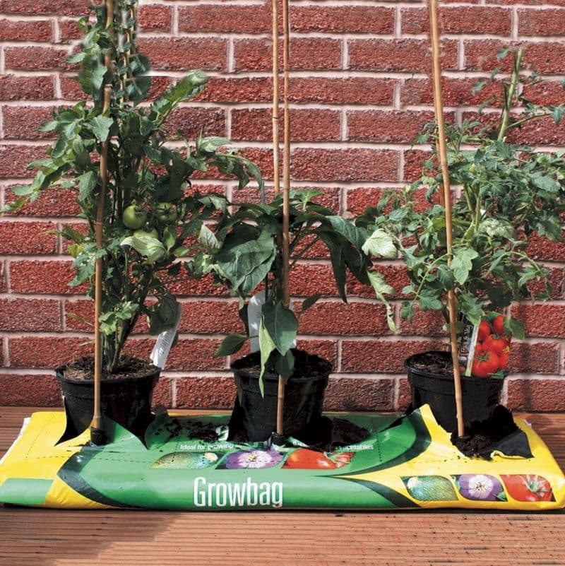 Firm Fix Cane Supports £6.99