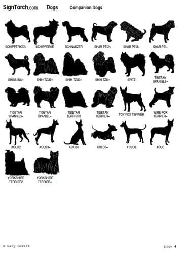 Companion Dogs Artwork