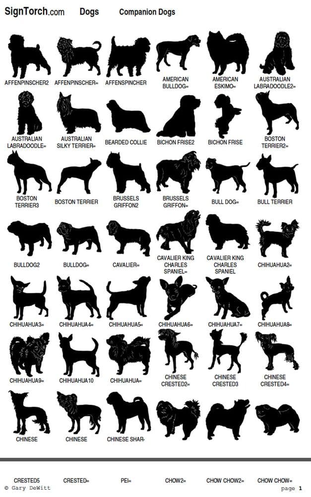 Companion Dogs Artwork