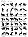Pets Artwork S2 Pages 1 - 5