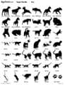 Pets Artwork S2 Pages 1 - 5