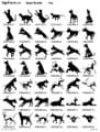 Pets Artwork S2 Pages 1 - 5