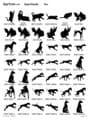 Pets Artwork S2 Pages 6 - 10