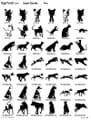 Pets Artwork S2 Pages 6 - 10