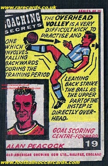 1964 Peacock Boro Anglo gum insert