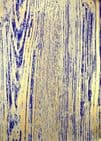 FW214 Wood Grain