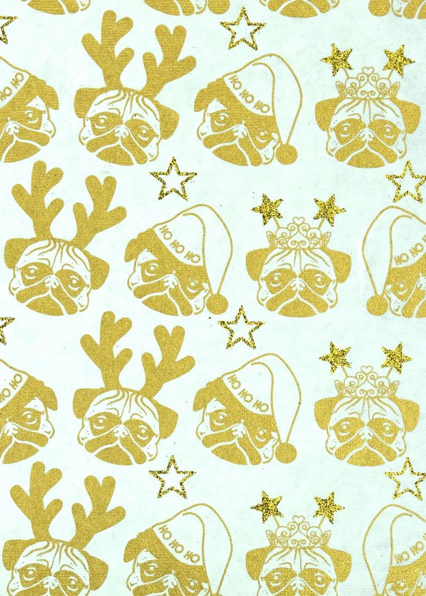 FW219 Pugs