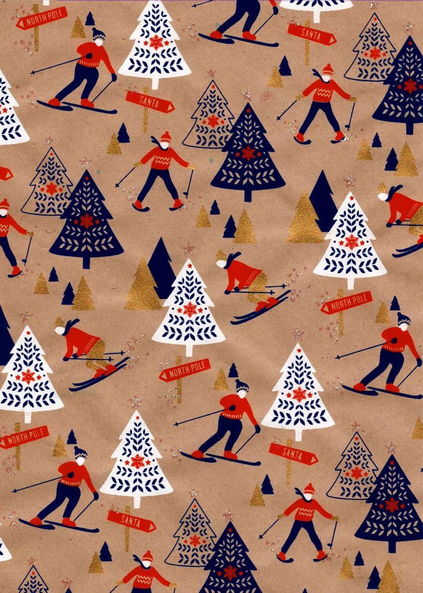 FW221 Skiers
