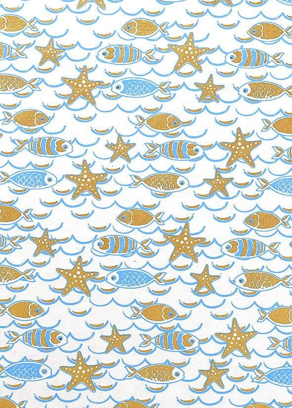 FW262 Fishes