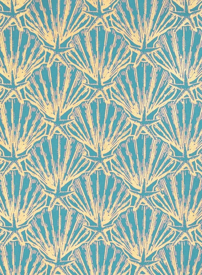 FW273 Scallop