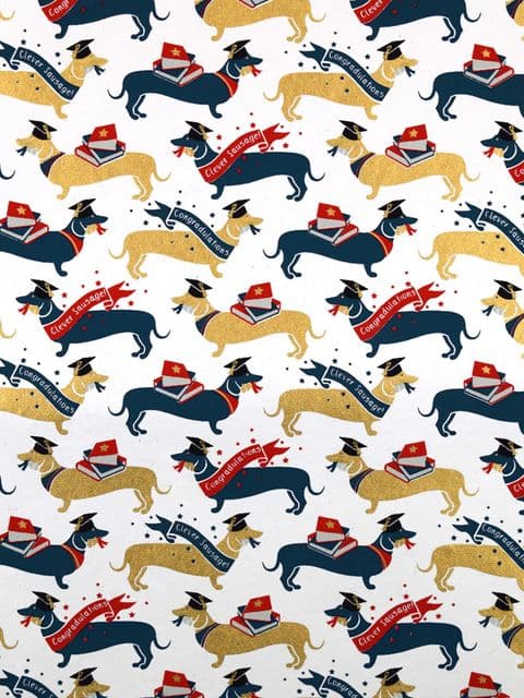 FW356 Clever Sausage