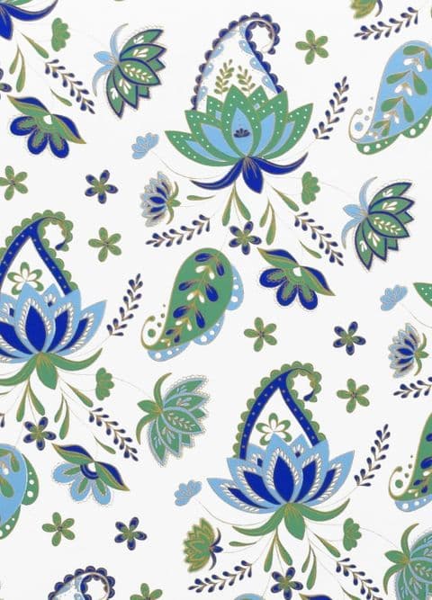 FW472 Paisley