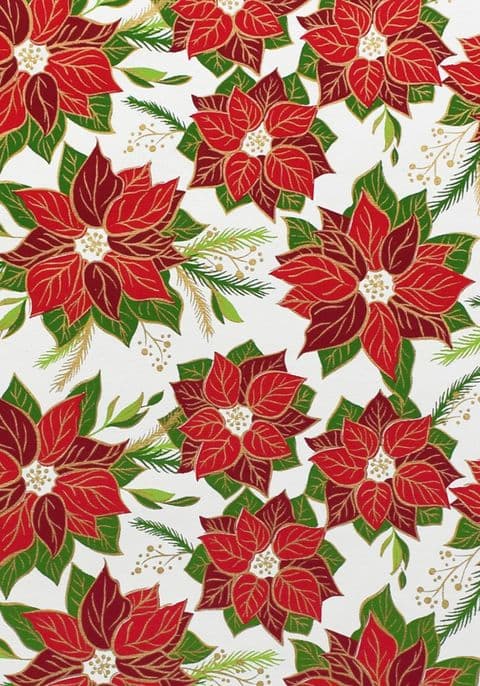 FW488 - Poinsettia
