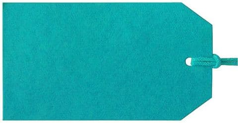V04749 - Plain Gift Tags Turquoise GTP45 30/PK