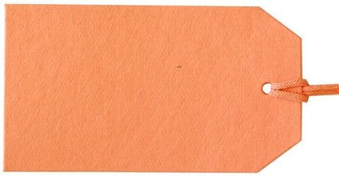 V08075 - Plain Gift Tags Coral - GTP50 30/PK