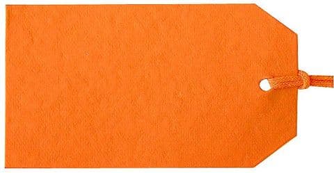 V08082 - Plain Gift Tags Orange GTP.57 30/PK