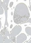V34104 - Glitter Marble Silver Square Nest of 5 Boxes - GBXS215.100/01GS 1/PK