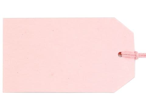 V34227 - Plain Gift Tag Baby Pink - GTP10 30/PK