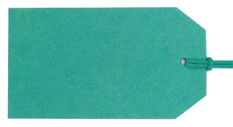 V34241 - Plain Gift Tag Atlantis - GTP42 30/PK