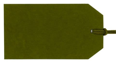 V34265 - Plain Gift Tag Olive Green - GTP66 30/PK