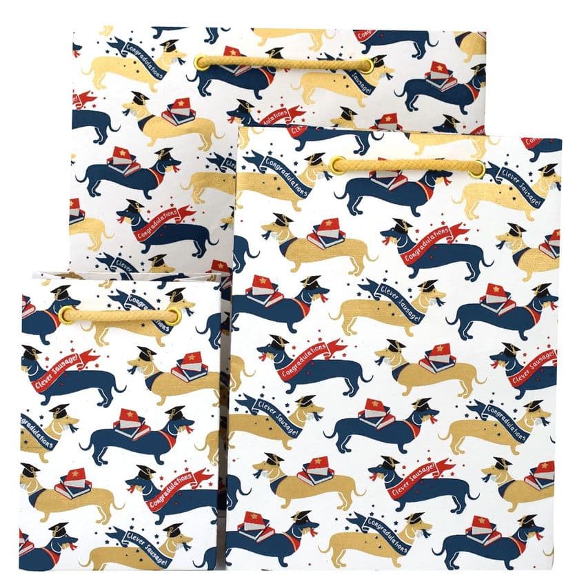 V45742; V45759; V45766 - Clever Sausage Bags 10/PK