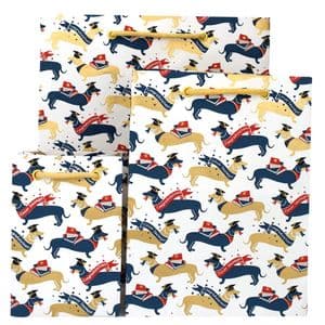 V45742; V45759; V45766 - Clever Sausage Bags 10/PK