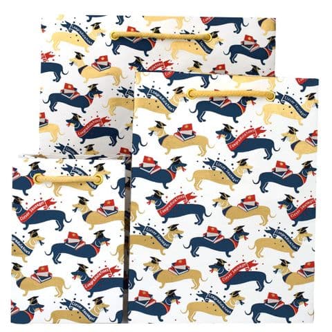 V45742; V45759; V45766 - Clever Sausage Bags 10/PK