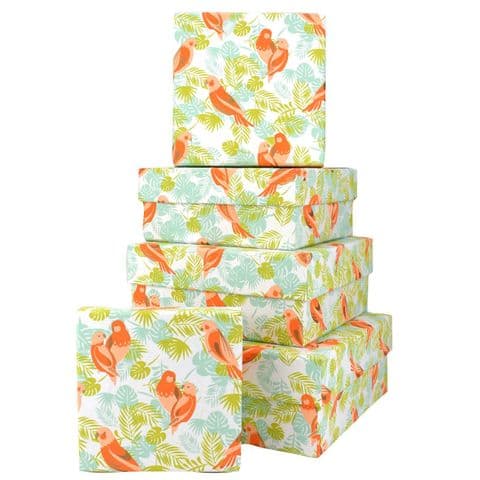 V45957 - Parrots Square Nest of 5 Gift Boxes 1/PK