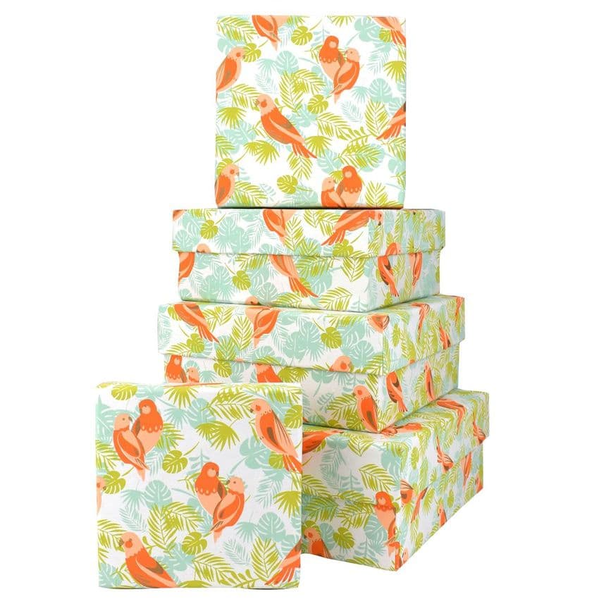 V45957 - Parrots Square Nest of 5 Gift Boxes 1/PK