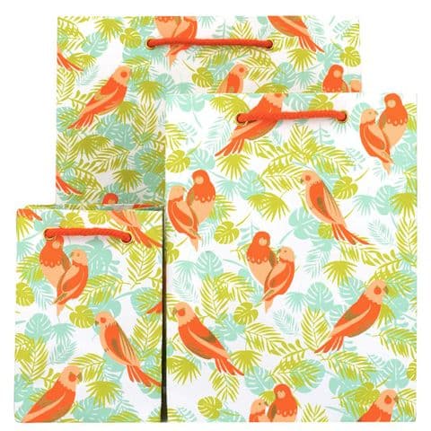 V47135; V47142; V47159 - Parrots Bags 10/PK