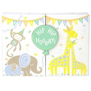 V48934 - Baby Animals Gift Card Box 4/PK