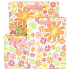 V50791, V50807, V50814 - Ditsy Floral Gift Bag & Tag - GBG475.00 10/PK