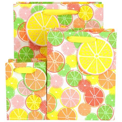 V50920, V50937, V50944 - Citrus Fruits Gift Bag & Tag - GBG469.00 10/PK