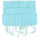V60863 - Plain Gift Tags Mint GTP43 30/PK