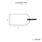 V60863 - Plain Gift Tags Mint GTP43 30/PK