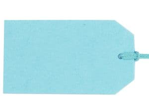 V60863 - Plain Gift Tags Mint GTP43 30/PK