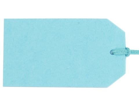 V60863 - Plain Gift Tags Mint GTP43 30/PK