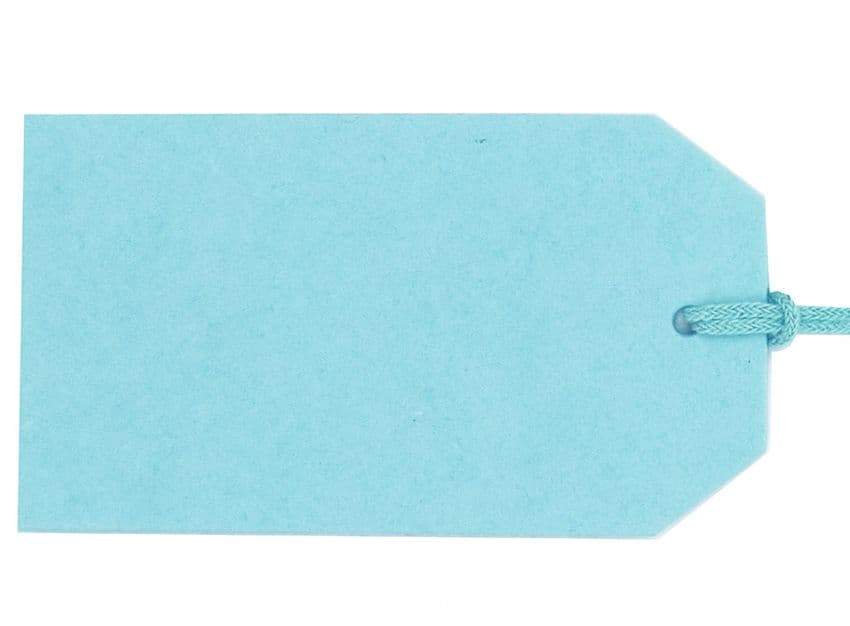 V60863 - Plain Gift Tags Mint GTP43 30/PK