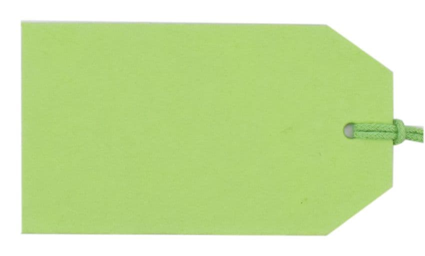 V61136 - Plain Gift Tags Green GTP62 30/PK