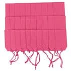 V61488 - Plain Gift Tags Pink GTP15 30/PK