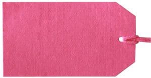 V61488 - Plain Gift Tags Pink GTP15 30/PK