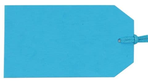 V65691 - Plain Gift Tags Tiffany Blue GTP41 30/PK