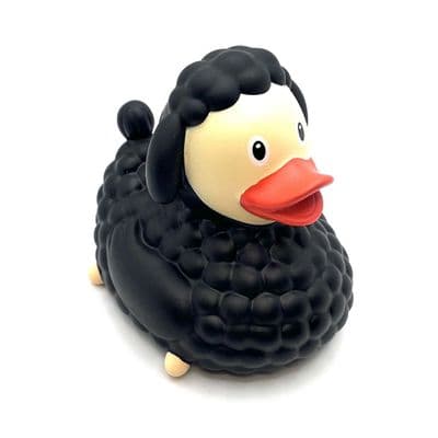 Black Sheep Duck