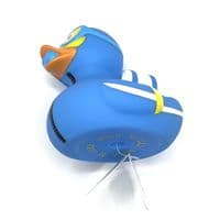 Diver Duck