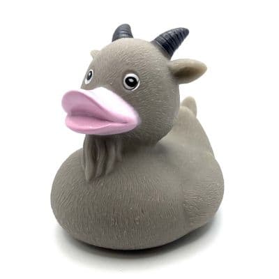 Goat Duck