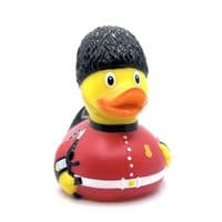 Guardsman Duck