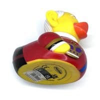 King Charles Duck