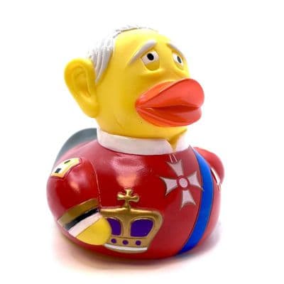 King Charles Duck